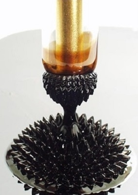 100 ml + magnet NV155 -  22x6 mm