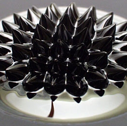 Ferrofluid 50ml + magnet NV113